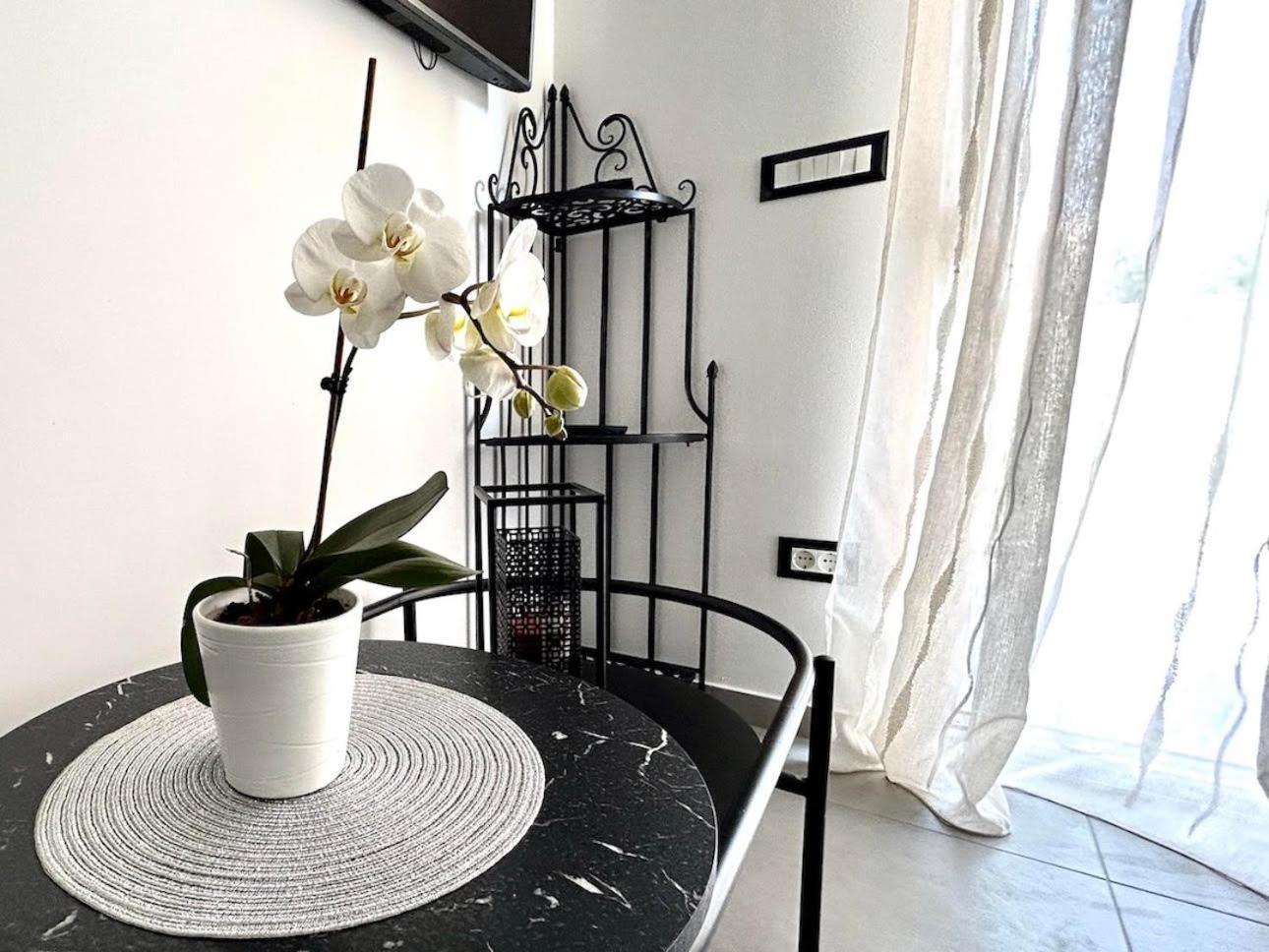 Apartament Diva